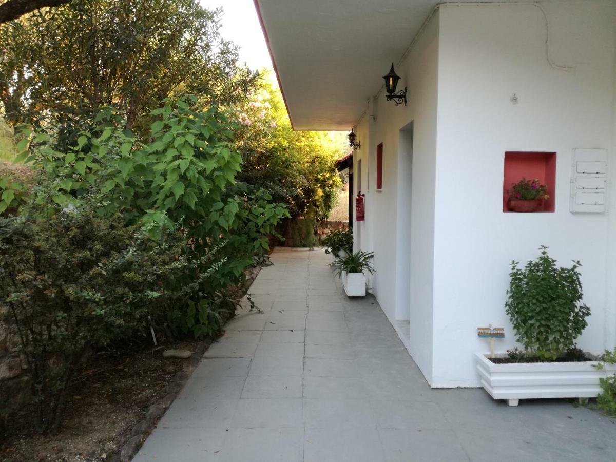 Tony Studio & Apartments Laganas Exterior photo