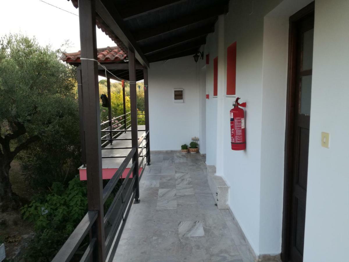 Tony Studio & Apartments Laganas Exterior photo